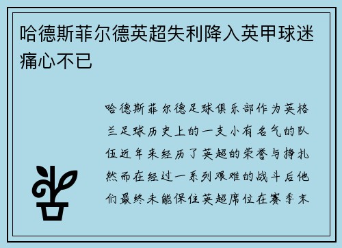 哈德斯菲尔德英超失利降入英甲球迷痛心不已